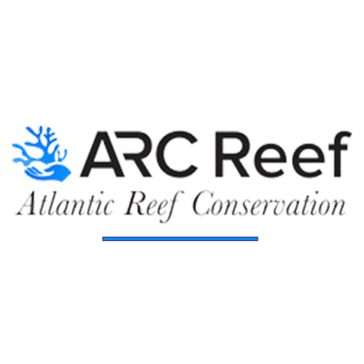 Blog-Placeholder ARC Reef, Atlantic Reef Conservation