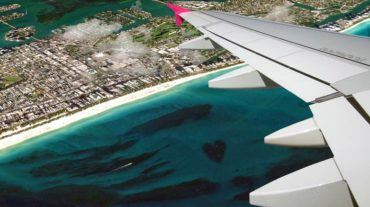 Heart Reef Miami by ARC Reef Atlantic Reef Conservation Live Rock