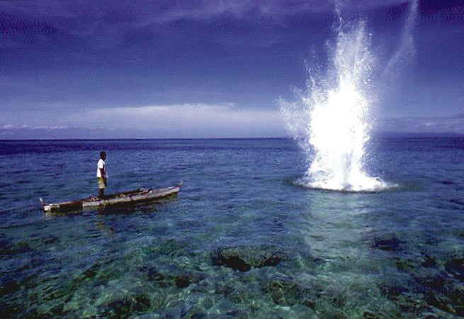 Coral Reef Destruction wild harvest of Live Rock in Fiji