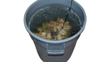 Live Rock Curing in Rubbermaid Cured livrocks