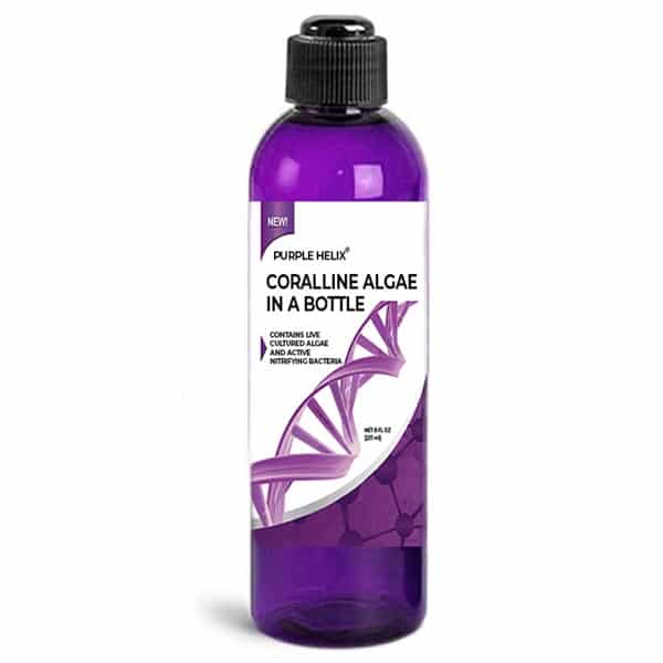 Pink Fusion & Purple Helix are Truly Coralline Algae in a Bottle, Reef  Builders