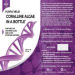Coralline Algae in a Bottle Purple Helix Strain Spores purple up