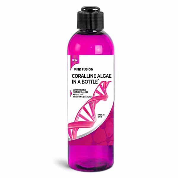 Pink Fusion Coralline Algae in a Bottle, by ARC Reef