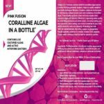 coralline algae spores pink fusion coraline algae seed bottle