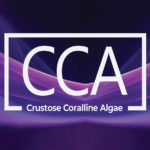 CCA Crustose Coralline Algae
