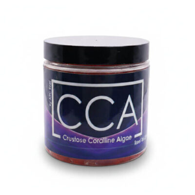 cca coralline algae pieces chunks adult colonies crustose coralline colony